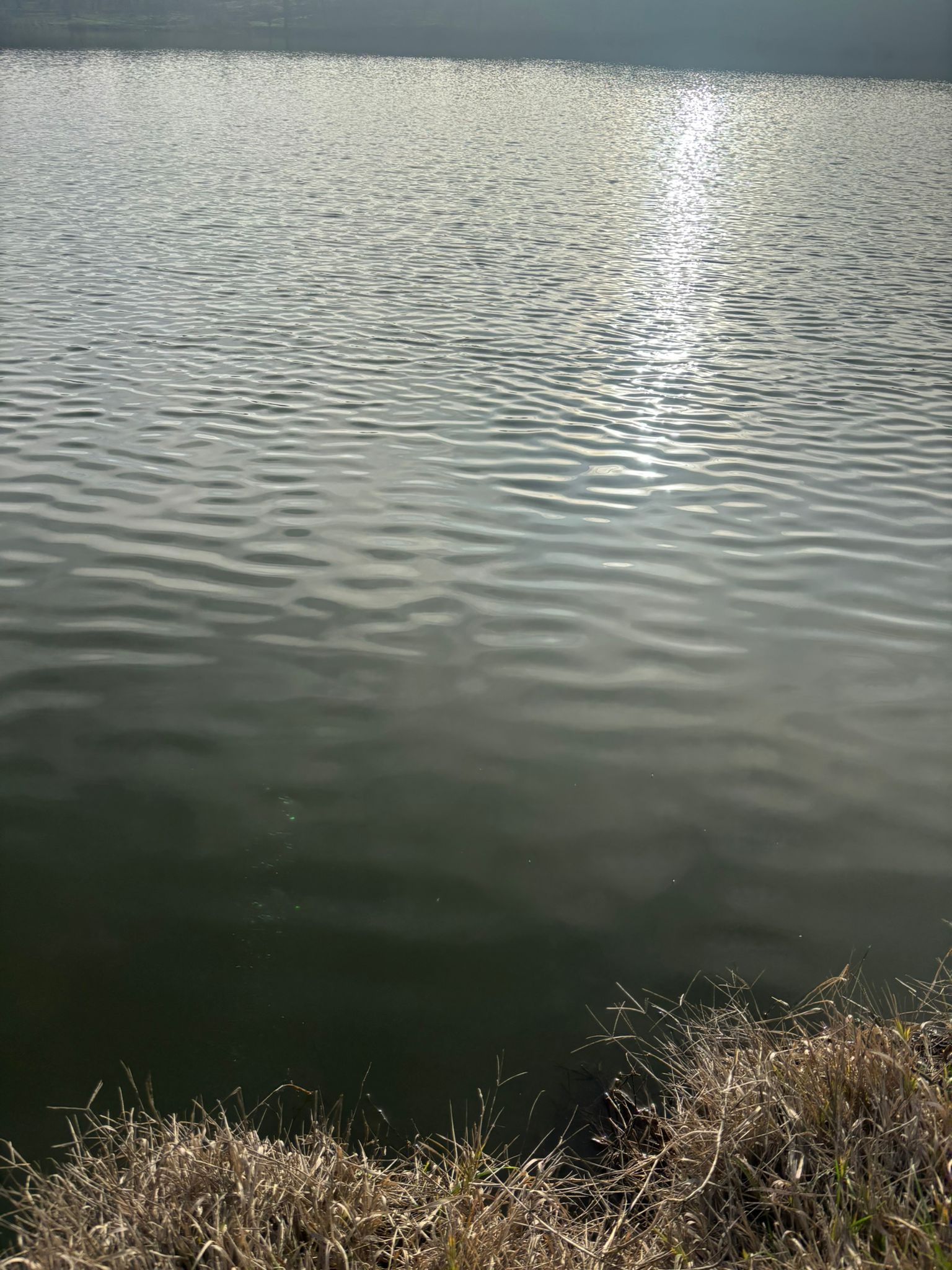 Apă clarificată - după tratament